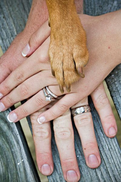 Mais uma ideia para dividir o grande dia com os cachorrinhos (Foto: Reprodução)